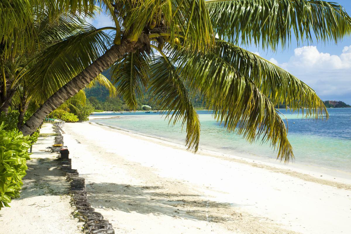 Indian Ocean Lodge Grand Anse  Exterior foto